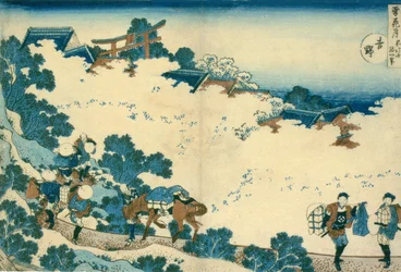 Kirschblüten in Yoshino